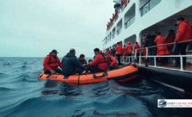 How Carnival Cruise Ships Are Rescues Lives